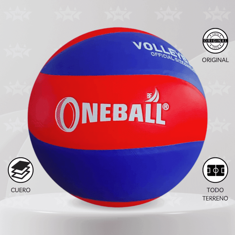 Pelota De Vóley Oneball Cuero Pvc #5